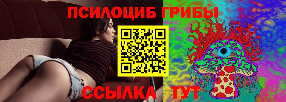Галлюциногенные грибы прущие грибы Урай